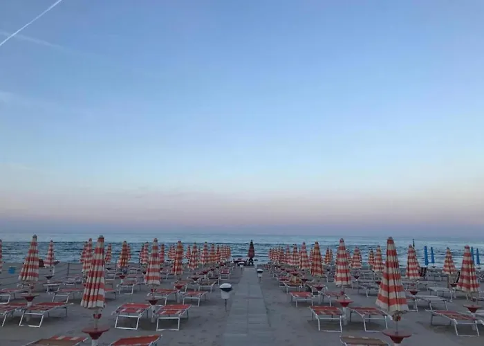 Coastal Comfort In Rosa *