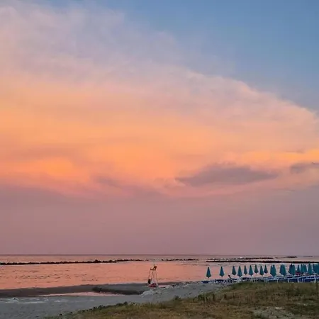 Coastal Comfort In Rosa *