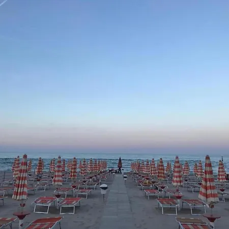 Coastal Comfort In Rosa *